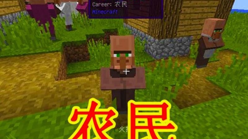 我的世界有多少个村民职业