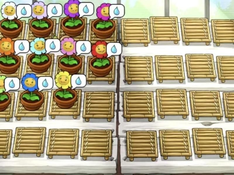 禅境花园植物多久浇水一次!w300