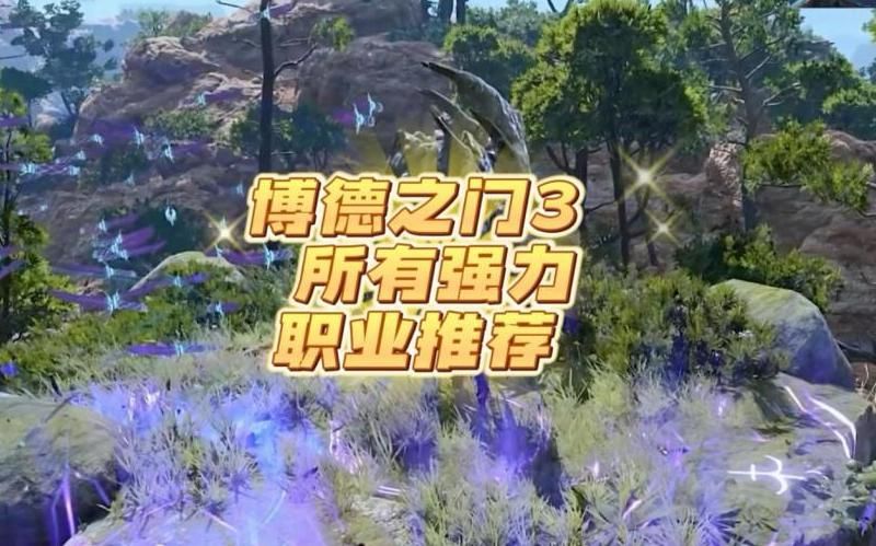 博德之门3哪个职业厉害!w300