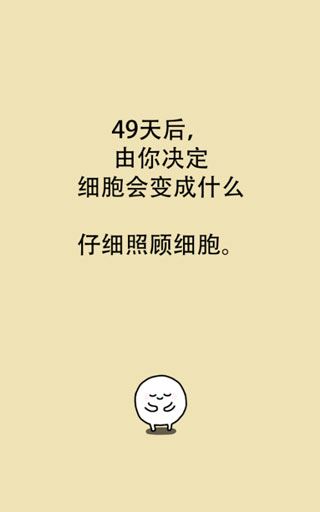 我的49天与细胞图片1