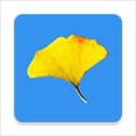 清水河畔app