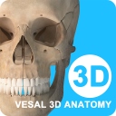 维萨里3D解剖app